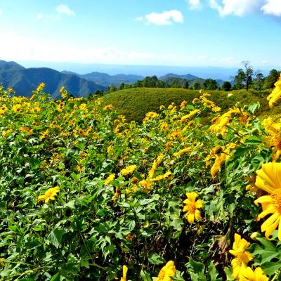 Villaggi Etnici e Trekking a Pai